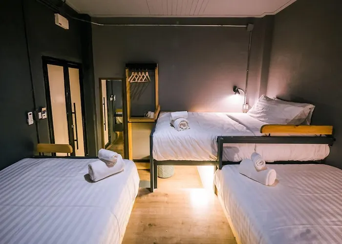 Zeds