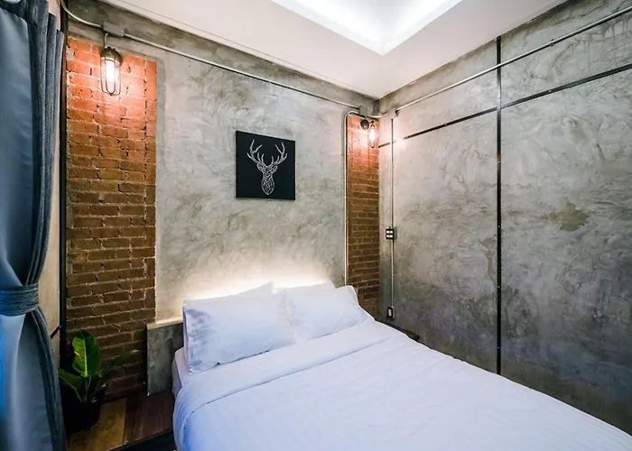 Zeds Albergue
